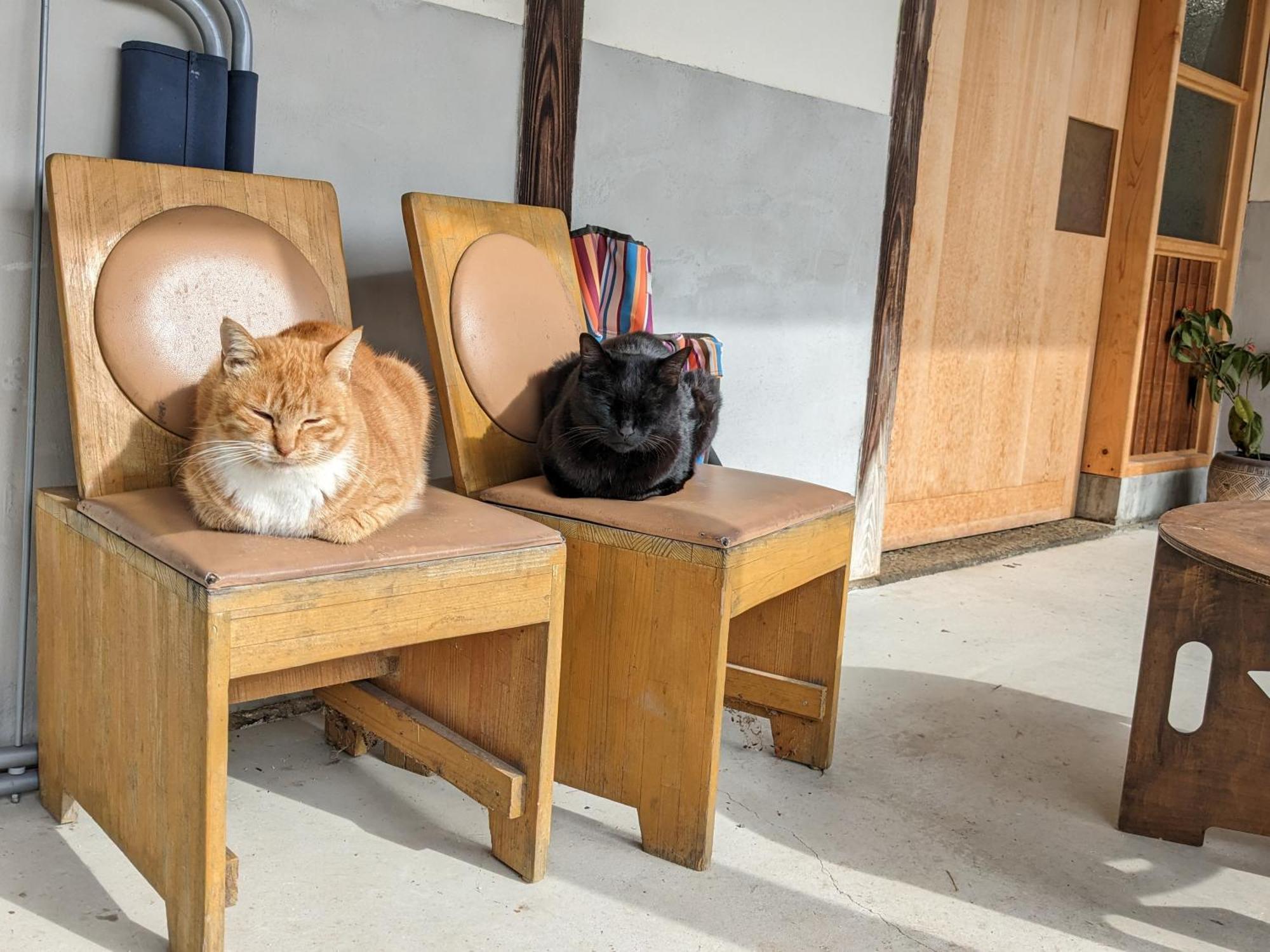 猫と図書館のある宿 草地家 Kusachike Minamiawaji Eksteriør billede