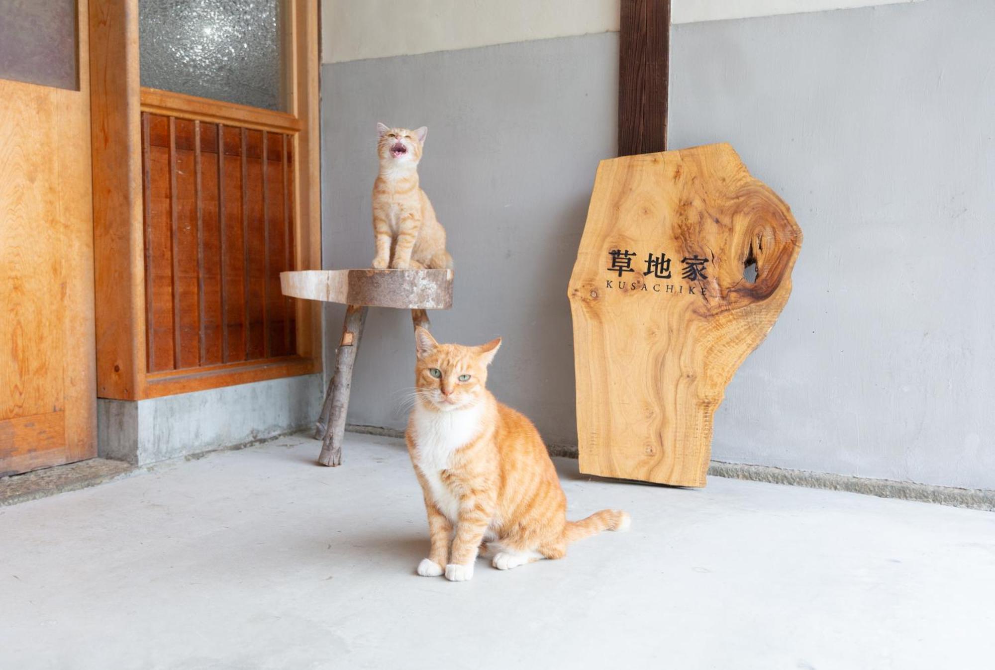 猫と図書館のある宿 草地家 Kusachike Minamiawaji Eksteriør billede
